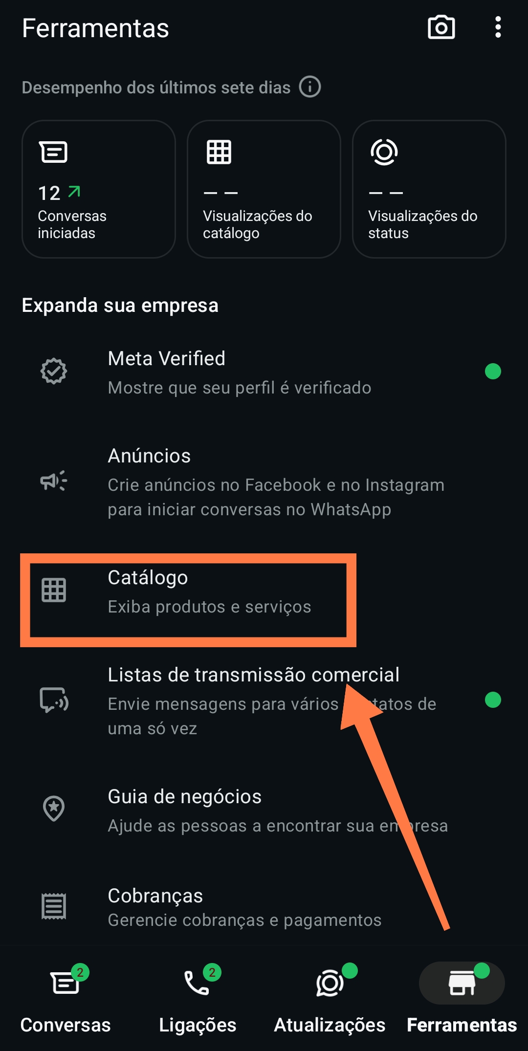 Catálogo de serviços de guincho organizado no WhatsApp Business